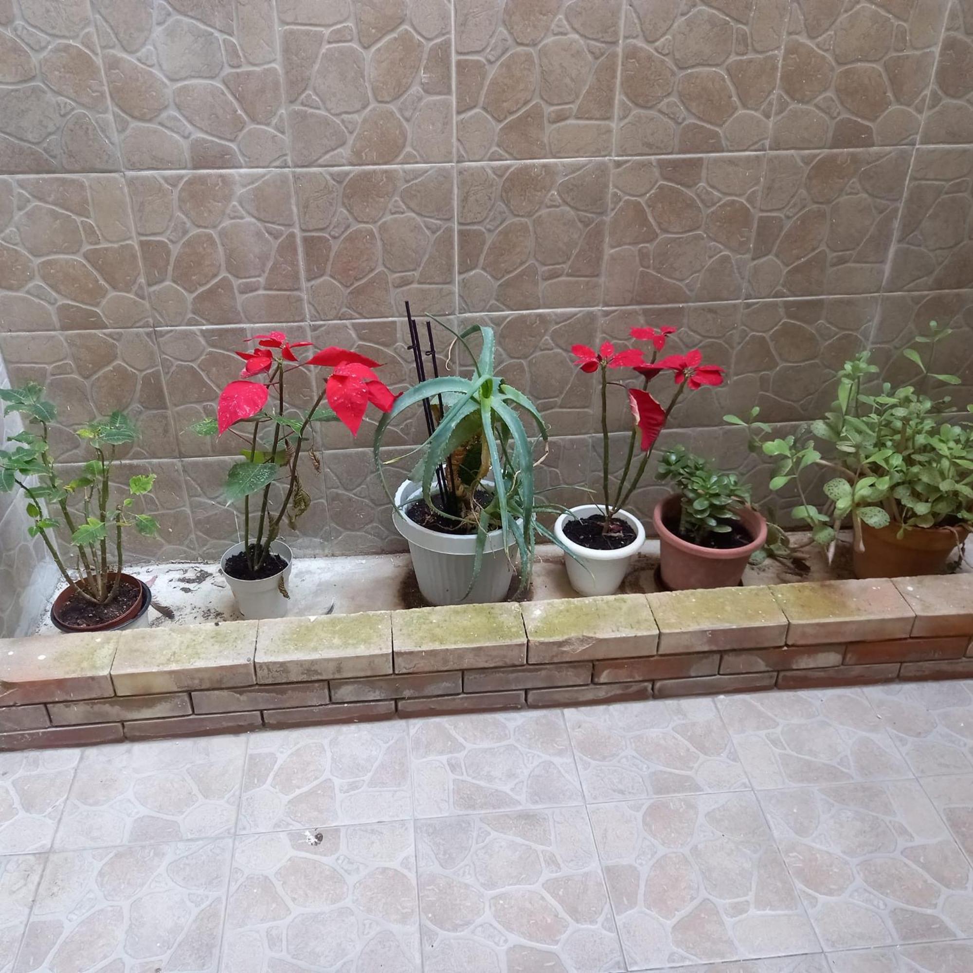 A Casa Di Lori Apartment Palermo Luaran gambar